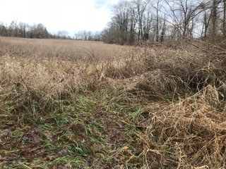 FARM 2 - LAND AUCTION - 151+/- ACRES OFFERED IN 11 TRACTS IN STEUBEN COUNTY, INDIANA