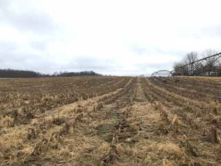 Property photo 28 - LAND AUCTION - 151+/- ACRES OFFERED IN 11 TRACTS IN STEUBEN COUNTY, INDIANA