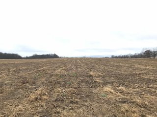 Property photo 34 - LAND AUCTION - 151+/- ACRES OFFERED IN 11 TRACTS IN STEUBEN COUNTY, INDIANA