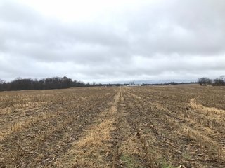 Property photo 31 - LAND AUCTION - 151+/- ACRES OFFERED IN 11 TRACTS IN STEUBEN COUNTY, INDIANA