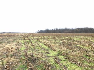 Property photo 30 - LAND AUCTION - 151+/- ACRES OFFERED IN 11 TRACTS IN STEUBEN COUNTY, INDIANA
