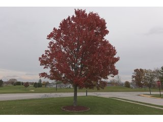 Property photo 11 - REAL ESTATE FOR SALE IN WHITLEY COUNTY, INDIANA