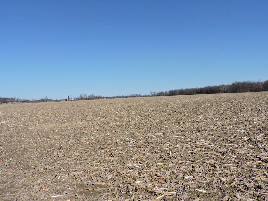 For sale: 97 Acres - Grain, Recreation, and Hunting Land - 74 Acres Tillable - Monticello, IN - Buffalo, IN