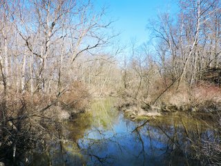 <b> 97.75 Total Acres with 74 Tillable</b>
Excellent land with a great location near Lake Shaffer. Property is located between Monticello and Buffalo, Indiana on the Tippecanoe River.
North White School District
Carrol White REMC for electric
 - 97 Acres - Grain, Recreation, and Hunting Land - 74 Acres Tillable