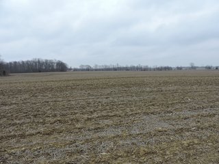 <b> 97.75 Total Acres with 74 Tillable</b>
Excellent land with a great location near Lake Shaffer. Property is located between Monticello and Buffalo, Indiana on the Tippecanoe River.
North White School District
Carrol White REMC for electric
 - 97 Acres - Grain, Recreation, and Hunting Land - 74 Acres Tillable