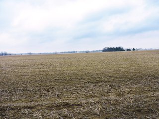 <b> 97.75 Total Acres with 74 Tillable</b>
Excellent land with a great location near Lake Shaffer. Property is located between Monticello and Buffalo, Indiana on the Tippecanoe River.
North White School District
Carrol White REMC for electric
 - 97 Acres - Grain, Recreation, and Hunting Land - 74 Acres Tillable