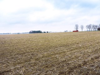 <b> 97.75 Total Acres with 74 Tillable</b>
Excellent land with a great location near Lake Shaffer. Property is located between Monticello and Buffalo, Indiana on the Tippecanoe River.
North White School District
Carrol White REMC for electric
 - 97 Acres - Grain, Recreation, and Hunting Land - 74 Acres Tillable