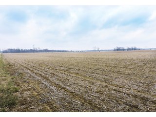 <b> 97.75 Total Acres with 74 Tillable</b>
Excellent land with a great location near Lake Shaffer. Property is located between Monticello and Buffalo, Indiana on the Tippecanoe River.
North White School District
Carrol White REMC for electric
 - 97 Acres - Grain, Recreation, and Hunting Land - 74 Acres Tillable