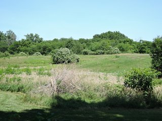 Property photo 5 - 106+/- Total Acres, with Home