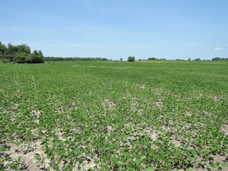 Property photo 15 - 106+/- Total Acres, with Home