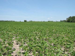 Property photo 16 - 106+/- Total Acres, with Home