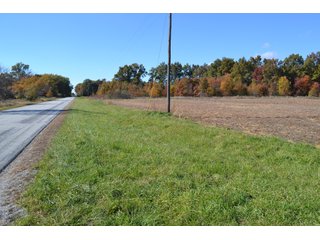 <B>Type of Farm:</b> Cropland, Hunting/Recreational & Potential Building Sites<BR>
<B>PROPERTY COMMENTS:</B> This property offers a tremendous amount. It has productive tillable land, road frontage around the entire property, a number of potential beautiful homesites, woods for hunting and recreation with loads of deer activity and a scenic old windmill with well to boot. The property is about 1/2 mile south of Willow Slough. Sellers will consider divisions of the property.<BR>
<B>Section:</b> 24 T, 29 N, R 10 W 
<B>Owner:</b> Garry V. & Larry D. Robinson
<B>Possession:</b> Upon closing. 
<B>School District:</b> North Newton School Corporation 
<B>Elec. Source:</b> Newton County REMC  - 83.2 ACRES - CROPLAND, HUNTING/RECREATIONAL & POTENTIAL BUILDING SITES