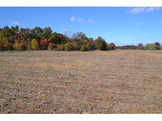 <B>Type of Farm:</b> Cropland, Hunting/Recreational & Potential Building Sites<BR>
<B>PROPERTY COMMENTS:</B> This property offers a tremendous amount. It has productive tillable land, road frontage around the entire property, a number of potential beautiful homesites, woods for hunting and recreation with loads of deer activity and a scenic old windmill with well to boot. The property is about 1/2 mile south of Willow Slough. Sellers will consider divisions of the property.<BR>
<B>Section:</b> 24 T, 29 N, R 10 W 
<B>Owner:</b> Garry V. & Larry D. Robinson
<B>Possession:</b> Upon closing. 
<B>School District:</b> North Newton School Corporation 
<B>Elec. Source:</b> Newton County REMC  - 83.2 ACRES - CROPLAND, HUNTING/RECREATIONAL & POTENTIAL BUILDING SITES