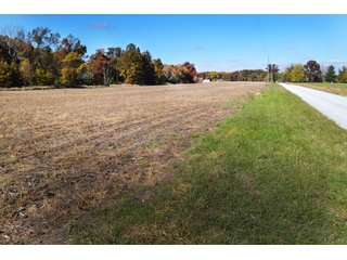 <B>Type of Farm:</b> Cropland, Hunting/Recreational & Potential Building Sites<BR>
<B>PROPERTY COMMENTS:</B> This property offers a tremendous amount. It has productive tillable land, road frontage around the entire property, a number of potential beautiful homesites, woods for hunting and recreation with loads of deer activity and a scenic old windmill with well to boot. The property is about 1/2 mile south of Willow Slough. Sellers will consider divisions of the property.<BR>
<B>Section:</b> 24 T, 29 N, R 10 W 
<B>Owner:</b> Garry V. & Larry D. Robinson
<B>Possession:</b> Upon closing. 
<B>School District:</b> North Newton School Corporation 
<B>Elec. Source:</b> Newton County REMC  - 83.2 ACRES - CROPLAND, HUNTING/RECREATIONAL & POTENTIAL BUILDING SITES