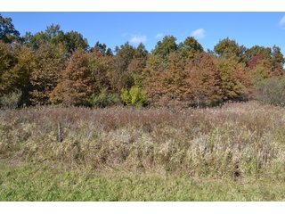 <B>Type of Farm:</b> Cropland, Hunting/Recreational & Potential Building Sites<BR>
<B>PROPERTY COMMENTS:</B> This property offers a tremendous amount. It has productive tillable land, road frontage around the entire property, a number of potential beautiful homesites, woods for hunting and recreation with loads of deer activity and a scenic old windmill with well to boot. The property is about 1/2 mile south of Willow Slough. Sellers will consider divisions of the property.<BR>
<B>Section:</b> 24 T, 29 N, R 10 W 
<B>Owner:</b> Garry V. & Larry D. Robinson
<B>Possession:</b> Upon closing. 
<B>School District:</b> North Newton School Corporation 
<B>Elec. Source:</b> Newton County REMC  - 83.2 ACRES - CROPLAND, HUNTING/RECREATIONAL & POTENTIAL BUILDING SITES