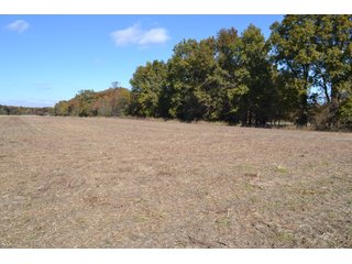 <B>Type of Farm:</b> Cropland, Hunting/Recreational & Potential Building Sites<BR>
<B>PROPERTY COMMENTS:</B> This property offers a tremendous amount. It has productive tillable land, road frontage around the entire property, a number of potential beautiful homesites, woods for hunting and recreation with loads of deer activity and a scenic old windmill with well to boot. The property is about 1/2 mile south of Willow Slough. Sellers will consider divisions of the property.<BR>
<B>Section:</b> 24 T, 29 N, R 10 W 
<B>Owner:</b> Garry V. & Larry D. Robinson
<B>Possession:</b> Upon closing. 
<B>School District:</b> North Newton School Corporation 
<B>Elec. Source:</b> Newton County REMC  - 83.2 ACRES - CROPLAND, HUNTING/RECREATIONAL & POTENTIAL BUILDING SITES