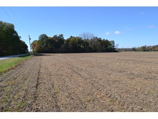 <B>Type of Farm:</b> Cropland, Hunting/Recreational & Potential Building Sites<BR>
<B>PROPERTY COMMENTS:</B> This property offers a tremendous amount. It has productive tillable land, road frontage around the entire property, a number of potential beautiful homesites, woods for hunting and recreation with loads of deer activity and a scenic old windmill with well to boot. The property is about 1/2 mile south of Willow Slough. Sellers will consider divisions of the property.<BR>
<B>Section:</b> 24 T, 29 N, R 10 W 
<B>Owner:</b> Garry V. & Larry D. Robinson
<B>Possession:</b> Upon closing. 
<B>School District:</b> North Newton School Corporation 
<B>Elec. Source:</b> Newton County REMC  - 83.2 ACRES - CROPLAND, HUNTING/RECREATIONAL & POTENTIAL BUILDING SITES