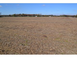 <B>Type of Farm:</b> Cropland, Hunting/Recreational & Potential Building Sites<BR>
<B>PROPERTY COMMENTS:</B> This property offers a tremendous amount. It has productive tillable land, road frontage around the entire property, a number of potential beautiful homesites, woods for hunting and recreation with loads of deer activity and a scenic old windmill with well to boot. The property is about 1/2 mile south of Willow Slough. Sellers will consider divisions of the property.<BR>
<B>Section:</b> 24 T, 29 N, R 10 W 
<B>Owner:</b> Garry V. & Larry D. Robinson
<B>Possession:</b> Upon closing. 
<B>School District:</b> North Newton School Corporation 
<B>Elec. Source:</b> Newton County REMC  - 83.2 ACRES - CROPLAND, HUNTING/RECREATIONAL & POTENTIAL BUILDING SITES