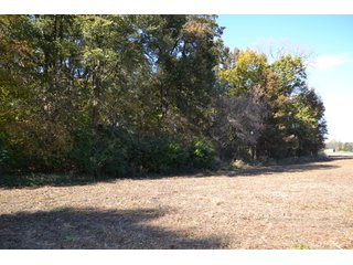 <B>Type of Farm:</b> Cropland, Hunting/Recreational & Potential Building Sites<BR>
<B>PROPERTY COMMENTS:</B> This property offers a tremendous amount. It has productive tillable land, road frontage around the entire property, a number of potential beautiful homesites, woods for hunting and recreation with loads of deer activity and a scenic old windmill with well to boot. The property is about 1/2 mile south of Willow Slough. Sellers will consider divisions of the property.<BR>
<B>Section:</b> 24 T, 29 N, R 10 W 
<B>Owner:</b> Garry V. & Larry D. Robinson
<B>Possession:</b> Upon closing. 
<B>School District:</b> North Newton School Corporation 
<B>Elec. Source:</b> Newton County REMC  - 83.2 ACRES - CROPLAND, HUNTING/RECREATIONAL & POTENTIAL BUILDING SITES