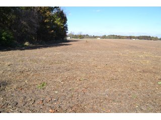 <B>Type of Farm:</b> Cropland, Hunting/Recreational & Potential Building Sites<BR>
<B>PROPERTY COMMENTS:</B> This property offers a tremendous amount. It has productive tillable land, road frontage around the entire property, a number of potential beautiful homesites, woods for hunting and recreation with loads of deer activity and a scenic old windmill with well to boot. The property is about 1/2 mile south of Willow Slough. Sellers will consider divisions of the property.<BR>
<B>Section:</b> 24 T, 29 N, R 10 W 
<B>Owner:</b> Garry V. & Larry D. Robinson
<B>Possession:</b> Upon closing. 
<B>School District:</b> North Newton School Corporation 
<B>Elec. Source:</b> Newton County REMC  - 83.2 ACRES - CROPLAND, HUNTING/RECREATIONAL & POTENTIAL BUILDING SITES