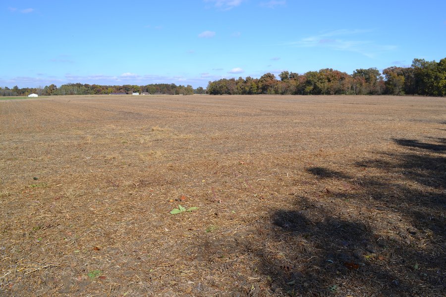For sale: 83.2 ACRES - CROPLAND, HUNTING/RECREATIONAL & POTENTIAL BUILDING SITES - Newton County, Indiana - West of Morocco