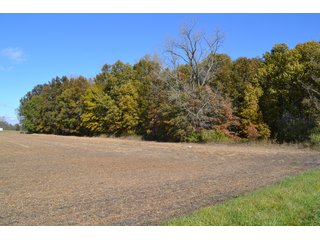 Property photo 6 - 83.2 ACRES - CROPLAND, HUNTING/RECREATIONAL & POTENTIAL BUILDING SITES
