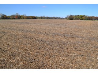 <B>Type of Farm:</b> Cropland, Hunting/Recreational & Potential Building Sites<BR>
<B>PROPERTY COMMENTS:</B> This property offers a tremendous amount. It has productive tillable land, road frontage around the entire property, a number of potential beautiful homesites, woods for hunting and recreation with loads of deer activity and a scenic old windmill with well to boot. The property is about 1/2 mile south of Willow Slough. Sellers will consider divisions of the property.<BR>
<B>Section:</b> 24 T, 29 N, R 10 W 
<B>Owner:</b> Garry V. & Larry D. Robinson
<B>Possession:</b> Upon closing. 
<B>School District:</b> North Newton School Corporation 
<B>Elec. Source:</b> Newton County REMC  - 83.2 ACRES - CROPLAND, HUNTING/RECREATIONAL & POTENTIAL BUILDING SITES