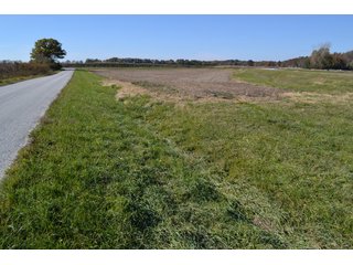 <B>Type of Farm:</b> Cropland, Hunting/Recreational & Potential Building Sites<BR>
<B>PROPERTY COMMENTS:</B> This property offers a tremendous amount. It has productive tillable land, road frontage around the entire property, a number of potential beautiful homesites, woods for hunting and recreation with loads of deer activity and a scenic old windmill with well to boot. The property is about 1/2 mile south of Willow Slough. Sellers will consider divisions of the property.<BR>
<B>Section:</b> 24 T, 29 N, R 10 W 
<B>Owner:</b> Garry V. & Larry D. Robinson
<B>Possession:</b> Upon closing. 
<B>School District:</b> North Newton School Corporation 
<B>Elec. Source:</b> Newton County REMC  - 83.2 ACRES - CROPLAND, HUNTING/RECREATIONAL & POTENTIAL BUILDING SITES