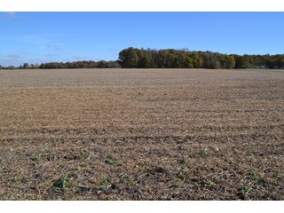 <B>Type of Farm:</b> Cropland, Hunting/Recreational & Potential Building Sites<BR>
<B>PROPERTY COMMENTS:</B> This property offers a tremendous amount. It has productive tillable land, road frontage around the entire property, a number of potential beautiful homesites, woods for hunting and recreation with loads of deer activity and a scenic old windmill with well to boot. The property is about 1/2 mile south of Willow Slough. Sellers will consider divisions of the property.<BR>
<B>Section:</b> 24 T, 29 N, R 10 W 
<B>Owner:</b> Garry V. & Larry D. Robinson
<B>Possession:</b> Upon closing. 
<B>School District:</b> North Newton School Corporation 
<B>Elec. Source:</b> Newton County REMC  - 83.2 ACRES - CROPLAND, HUNTING/RECREATIONAL & POTENTIAL BUILDING SITES