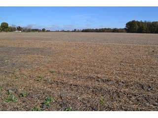 <B>Type of Farm:</b> Cropland, Hunting/Recreational & Potential Building Sites<BR>
<B>PROPERTY COMMENTS:</B> This property offers a tremendous amount. It has productive tillable land, road frontage around the entire property, a number of potential beautiful homesites, woods for hunting and recreation with loads of deer activity and a scenic old windmill with well to boot. The property is about 1/2 mile south of Willow Slough. Sellers will consider divisions of the property.<BR>
<B>Section:</b> 24 T, 29 N, R 10 W 
<B>Owner:</b> Garry V. & Larry D. Robinson
<B>Possession:</b> Upon closing. 
<B>School District:</b> North Newton School Corporation 
<B>Elec. Source:</b> Newton County REMC  - 83.2 ACRES - CROPLAND, HUNTING/RECREATIONAL & POTENTIAL BUILDING SITES