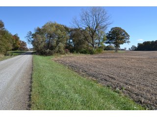<B>Type of Farm:</b> Cropland, Hunting/Recreational & Potential Building Sites<BR>
<B>PROPERTY COMMENTS:</B> This property offers a tremendous amount. It has productive tillable land, road frontage around the entire property, a number of potential beautiful homesites, woods for hunting and recreation with loads of deer activity and a scenic old windmill with well to boot. The property is about 1/2 mile south of Willow Slough. Sellers will consider divisions of the property.<BR>
<B>Section:</b> 24 T, 29 N, R 10 W 
<B>Owner:</b> Garry V. & Larry D. Robinson
<B>Possession:</b> Upon closing. 
<B>School District:</b> North Newton School Corporation 
<B>Elec. Source:</b> Newton County REMC  - 83.2 ACRES - CROPLAND, HUNTING/RECREATIONAL & POTENTIAL BUILDING SITES