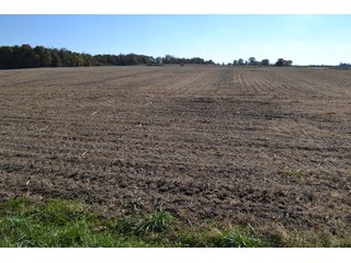 Property photo 7 - 83.2 ACRES - CROPLAND, HUNTING/RECREATIONAL & POTENTIAL BUILDING SITES