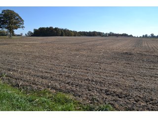 Property photo 3 - 83.2 ACRES - CROPLAND, HUNTING/RECREATIONAL & POTENTIAL BUILDING SITES