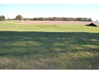 <B>Type of Farm:</b> Cropland, Hunting/Recreational & Potential Building Sites<BR>
<B>PROPERTY COMMENTS:</B> This property offers a tremendous amount. It has productive tillable land, road frontage around the entire property, a number of potential beautiful homesites, woods for hunting and recreation with loads of deer activity and a scenic old windmill with well to boot. The property is about 1/2 mile south of Willow Slough. Sellers will consider divisions of the property.<BR>
<B>Section:</b> 24 T, 29 N, R 10 W 
<B>Owner:</b> Garry V. & Larry D. Robinson
<B>Possession:</b> Upon closing. 
<B>School District:</b> North Newton School Corporation 
<B>Elec. Source:</b> Newton County REMC  - 83.2 ACRES - CROPLAND, HUNTING/RECREATIONAL & POTENTIAL BUILDING SITES