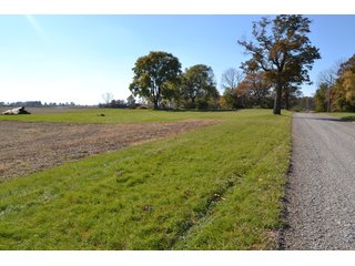 <B>Type of Farm:</b> Cropland, Hunting/Recreational & Potential Building Sites<BR>
<B>PROPERTY COMMENTS:</B> This property offers a tremendous amount. It has productive tillable land, road frontage around the entire property, a number of potential beautiful homesites, woods for hunting and recreation with loads of deer activity and a scenic old windmill with well to boot. The property is about 1/2 mile south of Willow Slough. Sellers will consider divisions of the property.<BR>
<B>Section:</b> 24 T, 29 N, R 10 W 
<B>Owner:</b> Garry V. & Larry D. Robinson
<B>Possession:</b> Upon closing. 
<B>School District:</b> North Newton School Corporation 
<B>Elec. Source:</b> Newton County REMC  - 83.2 ACRES - CROPLAND, HUNTING/RECREATIONAL & POTENTIAL BUILDING SITES
