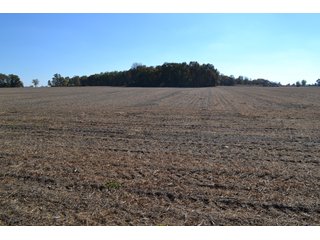 <B>Type of Farm:</b> Cropland, Hunting/Recreational & Potential Building Sites<BR>
<B>PROPERTY COMMENTS:</B> This property offers a tremendous amount. It has productive tillable land, road frontage around the entire property, a number of potential beautiful homesites, woods for hunting and recreation with loads of deer activity and a scenic old windmill with well to boot. The property is about 1/2 mile south of Willow Slough. Sellers will consider divisions of the property.<BR>
<B>Section:</b> 24 T, 29 N, R 10 W 
<B>Owner:</b> Garry V. & Larry D. Robinson
<B>Possession:</b> Upon closing. 
<B>School District:</b> North Newton School Corporation 
<B>Elec. Source:</b> Newton County REMC  - 83.2 ACRES - CROPLAND, HUNTING/RECREATIONAL & POTENTIAL BUILDING SITES