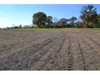 Property photo 2 - 83.2 ACRES - CROPLAND, HUNTING/RECREATIONAL & POTENTIAL BUILDING SITES