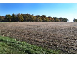 Property photo 1 - 83.2 ACRES - CROPLAND, HUNTING/RECREATIONAL & POTENTIAL BUILDING SITES