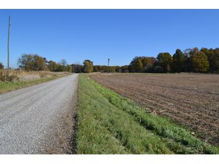 <B>Type of Farm:</b> Cropland, Hunting/Recreational & Potential Building Sites<BR>
<B>PROPERTY COMMENTS:</B> This property offers a tremendous amount. It has productive tillable land, road frontage around the entire property, a number of potential beautiful homesites, woods for hunting and recreation with loads of deer activity and a scenic old windmill with well to boot. The property is about 1/2 mile south of Willow Slough. Sellers will consider divisions of the property.<BR>
<B>Section:</b> 24 T, 29 N, R 10 W 
<B>Owner:</b> Garry V. & Larry D. Robinson
<B>Possession:</b> Upon closing. 
<B>School District:</b> North Newton School Corporation 
<B>Elec. Source:</b> Newton County REMC  - 83.2 ACRES - CROPLAND, HUNTING/RECREATIONAL & POTENTIAL BUILDING SITES