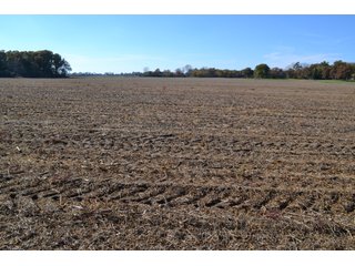 <B>Type of Farm:</b> Cropland, Hunting/Recreational & Potential Building Sites<BR>
<B>PROPERTY COMMENTS:</B> This property offers a tremendous amount. It has productive tillable land, road frontage around the entire property, a number of potential beautiful homesites, woods for hunting and recreation with loads of deer activity and a scenic old windmill with well to boot. The property is about 1/2 mile south of Willow Slough. Sellers will consider divisions of the property.<BR>
<B>Section:</b> 24 T, 29 N, R 10 W 
<B>Owner:</b> Garry V. & Larry D. Robinson
<B>Possession:</b> Upon closing. 
<B>School District:</b> North Newton School Corporation 
<B>Elec. Source:</b> Newton County REMC  - 83.2 ACRES - CROPLAND, HUNTING/RECREATIONAL & POTENTIAL BUILDING SITES