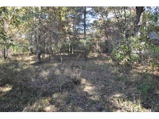 <B>Type of Farm:</b> Cropland, Hunting/Recreational & Potential Building Sites<BR>
<B>PROPERTY COMMENTS:</B> This property offers a tremendous amount. It has productive tillable land, road frontage around the entire property, a number of potential beautiful homesites, woods for hunting and recreation with loads of deer activity and a scenic old windmill with well to boot. The property is about 1/2 mile south of Willow Slough. Sellers will consider divisions of the property.<BR>
<B>Section:</b> 24 T, 29 N, R 10 W 
<B>Owner:</b> Garry V. & Larry D. Robinson
<B>Possession:</b> Upon closing. 
<B>School District:</b> North Newton School Corporation 
<B>Elec. Source:</b> Newton County REMC  - 83.2 ACRES - CROPLAND, HUNTING/RECREATIONAL & POTENTIAL BUILDING SITES