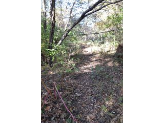 <B>Type of Farm:</b> Cropland, Hunting/Recreational & Potential Building Sites<BR>
<B>PROPERTY COMMENTS:</B> This property offers a tremendous amount. It has productive tillable land, road frontage around the entire property, a number of potential beautiful homesites, woods for hunting and recreation with loads of deer activity and a scenic old windmill with well to boot. The property is about 1/2 mile south of Willow Slough. Sellers will consider divisions of the property.<BR>
<B>Section:</b> 24 T, 29 N, R 10 W 
<B>Owner:</b> Garry V. & Larry D. Robinson
<B>Possession:</b> Upon closing. 
<B>School District:</b> North Newton School Corporation 
<B>Elec. Source:</b> Newton County REMC  - 83.2 ACRES - CROPLAND, HUNTING/RECREATIONAL & POTENTIAL BUILDING SITES
