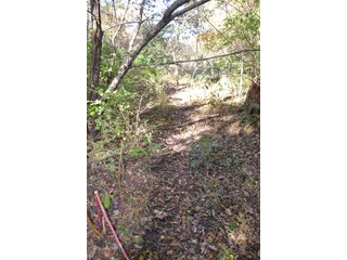 <B>Type of Farm:</b> Cropland, Hunting/Recreational & Potential Building Sites<BR>
<B>PROPERTY COMMENTS:</B> This property offers a tremendous amount. It has productive tillable land, road frontage around the entire property, a number of potential beautiful homesites, woods for hunting and recreation with loads of deer activity and a scenic old windmill with well to boot. The property is about 1/2 mile south of Willow Slough. Sellers will consider divisions of the property.<BR>
<B>Section:</b> 24 T, 29 N, R 10 W 
<B>Owner:</b> Garry V. & Larry D. Robinson
<B>Possession:</b> Upon closing. 
<B>School District:</b> North Newton School Corporation 
<B>Elec. Source:</b> Newton County REMC  - 83.2 ACRES - CROPLAND, HUNTING/RECREATIONAL & POTENTIAL BUILDING SITES