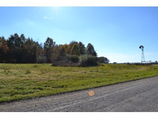 <B>Type of Farm:</b> Cropland, Hunting/Recreational & Potential Building Sites<BR>
<B>PROPERTY COMMENTS:</B> This property offers a tremendous amount. It has productive tillable land, road frontage around the entire property, a number of potential beautiful homesites, woods for hunting and recreation with loads of deer activity and a scenic old windmill with well to boot. The property is about 1/2 mile south of Willow Slough. Sellers will consider divisions of the property.<BR>
<B>Section:</b> 24 T, 29 N, R 10 W 
<B>Owner:</b> Garry V. & Larry D. Robinson
<B>Possession:</b> Upon closing. 
<B>School District:</b> North Newton School Corporation 
<B>Elec. Source:</b> Newton County REMC  - 83.2 ACRES - CROPLAND, HUNTING/RECREATIONAL & POTENTIAL BUILDING SITES