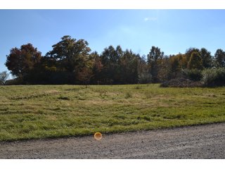 <B>Type of Farm:</b> Cropland, Hunting/Recreational & Potential Building Sites<BR>
<B>PROPERTY COMMENTS:</B> This property offers a tremendous amount. It has productive tillable land, road frontage around the entire property, a number of potential beautiful homesites, woods for hunting and recreation with loads of deer activity and a scenic old windmill with well to boot. The property is about 1/2 mile south of Willow Slough. Sellers will consider divisions of the property.<BR>
<B>Section:</b> 24 T, 29 N, R 10 W 
<B>Owner:</b> Garry V. & Larry D. Robinson
<B>Possession:</b> Upon closing. 
<B>School District:</b> North Newton School Corporation 
<B>Elec. Source:</b> Newton County REMC  - 83.2 ACRES - CROPLAND, HUNTING/RECREATIONAL & POTENTIAL BUILDING SITES