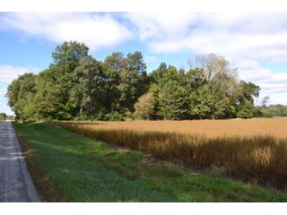 <B>Type of Farm:</b> Cropland, Hunting/Recreational & Potential Building Sites<BR>
<B>PROPERTY COMMENTS:</B> This property offers a tremendous amount. It has productive tillable land, road frontage around the entire property, a number of potential beautiful homesites, woods for hunting and recreation with loads of deer activity and a scenic old windmill with well to boot. The property is about 1/2 mile south of Willow Slough. Sellers will consider divisions of the property.<BR>
<B>Section:</b> 24 T, 29 N, R 10 W 
<B>Owner:</b> Garry V. & Larry D. Robinson
<B>Possession:</b> Upon closing. 
<B>School District:</b> North Newton School Corporation 
<B>Elec. Source:</b> Newton County REMC  - 83.2 ACRES - CROPLAND, HUNTING/RECREATIONAL & POTENTIAL BUILDING SITES