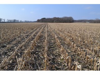 Property photo 1 - 50+/- Acres - Cropland - Hunting/Recreational - Potential Building Site