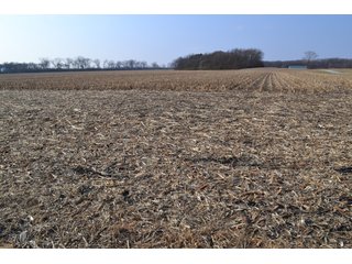 Property photo 15 - 50+/- Acres - Cropland - Hunting/Recreational - Potential Building Site