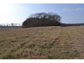 Property photo 13 - 50+/- Acres - Cropland - Hunting/Recreational - Potential Building Site