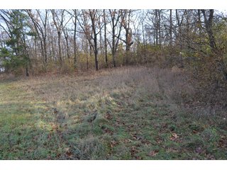 Property photo 11 - 50+/- Acres - Cropland - Hunting/Recreational - Potential Building Site